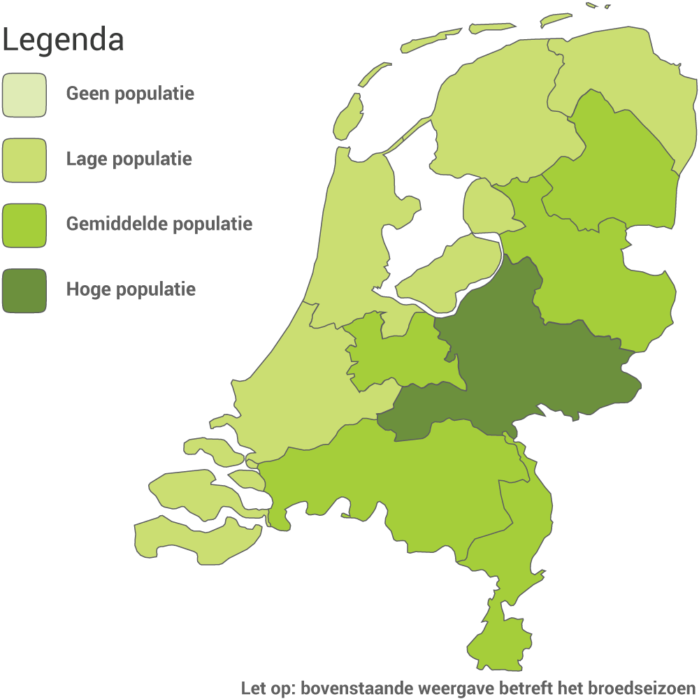 merel_leefgebied